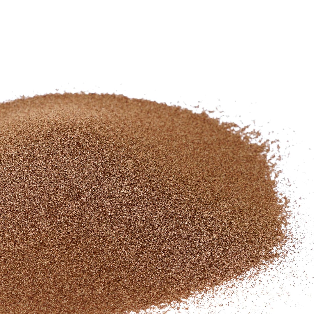 Artemia Eier kaufen – Was ist zu beachten?