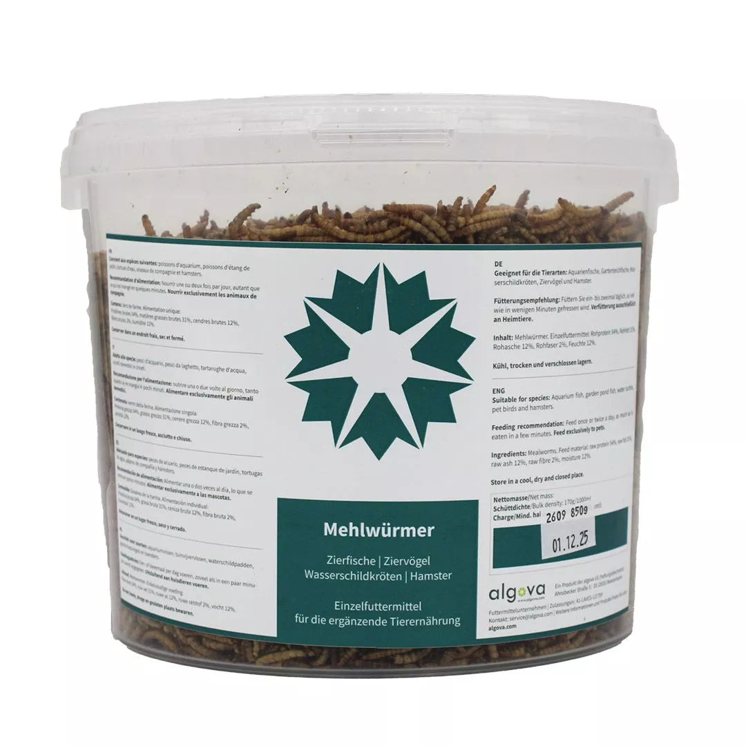 Mehlwürmer getrocknet - 850g/5000ml