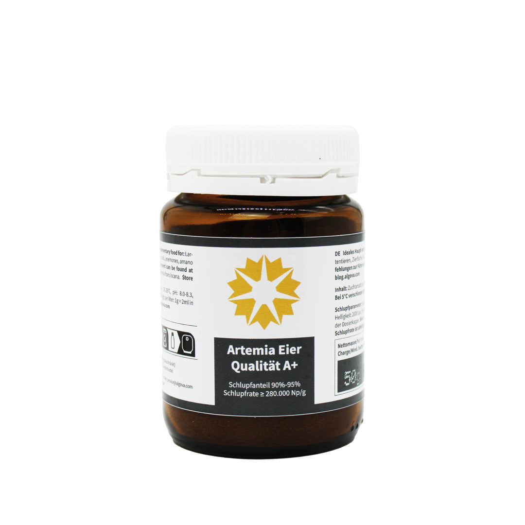 Artemia Eier Qualität A+ - Premium Artemia Eier mit sehr hoher Schlupfrate 50g