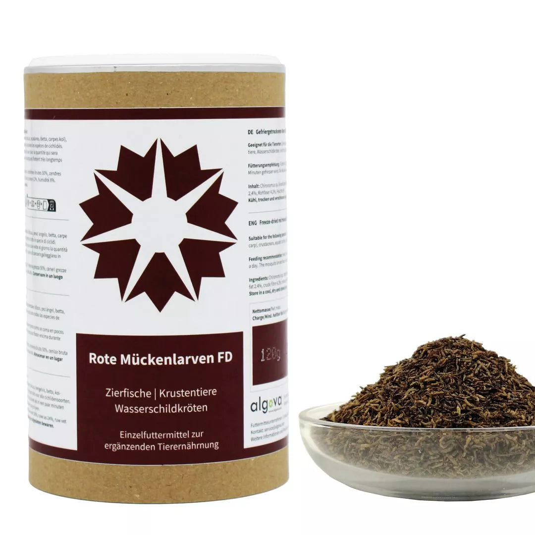 rote mückenlarven aufbewahren Rote Mückenlarven getrocknet