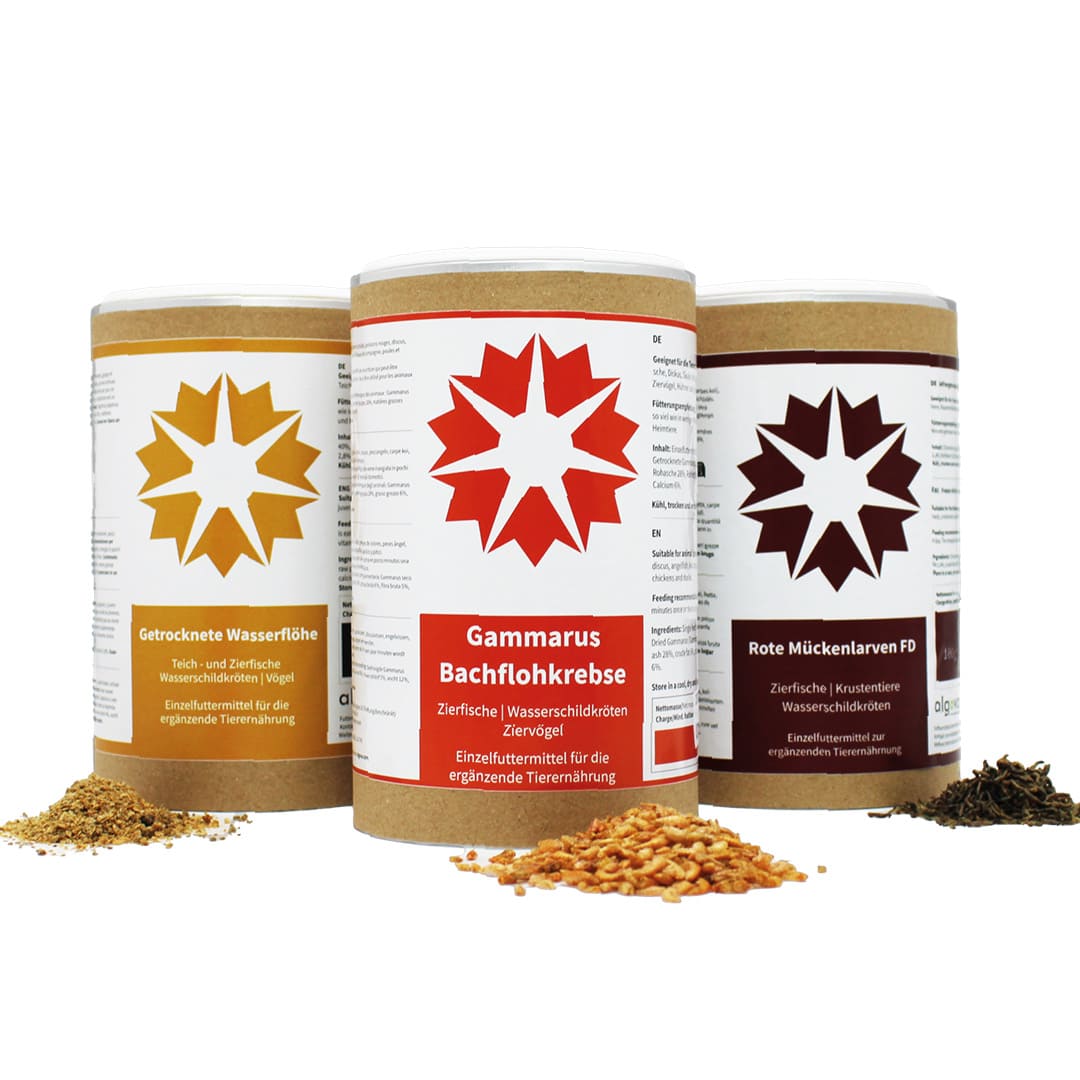 Baby Koi FutterSet von algova