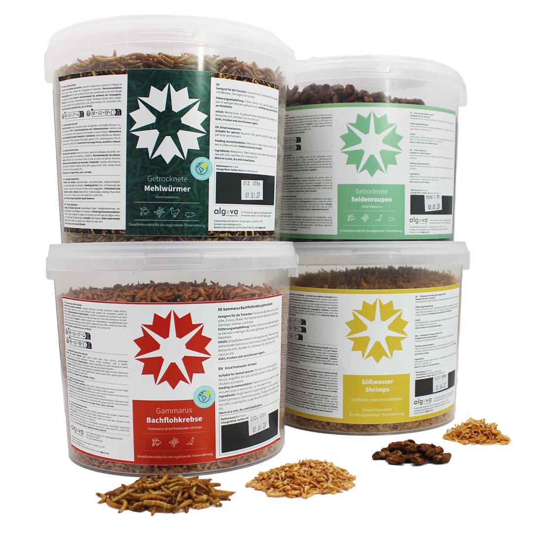 algova Koi FutterSet Natur - Set aus Gammatus, Mehlwürmern, Süßwasser Shrimps und Seidenraupen