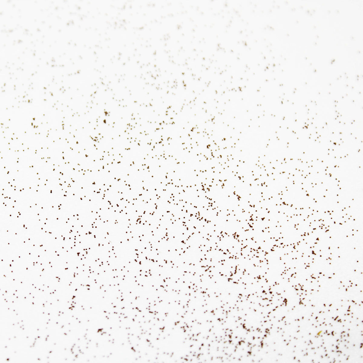 Mikro Artemia Eier AF430 - Artemia Mikrozysten - Produktdetails