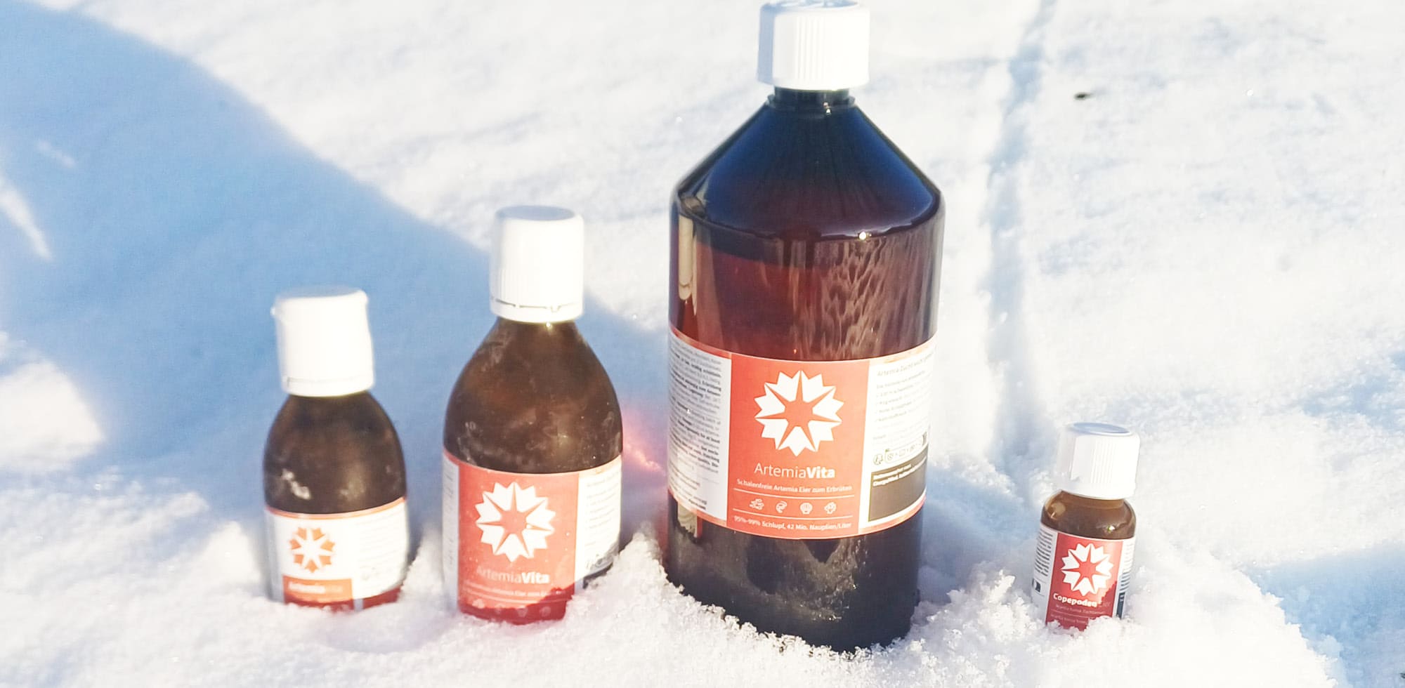 Die Winter Deals - ArtemiaVita und Copepoden versandkostenfrei