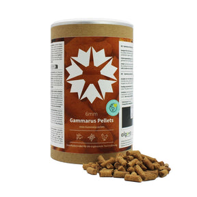 algova Produktmuster