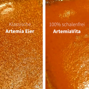 ArtemiaVita StarterSet - Élevez des Artemia sans coquilles à 100%