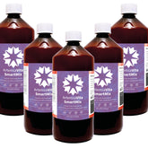 ArtemiaVita SmartMix - Lot de 5 - Œufs d'Artemia avec sel - dosage facile