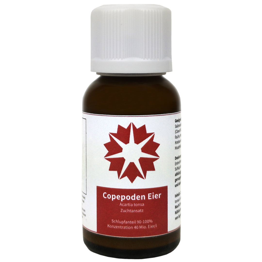 Copepoden Eier Acartica tonsa - Aufzuchtfutter für schwierige Larvenaufzuchten 25ml