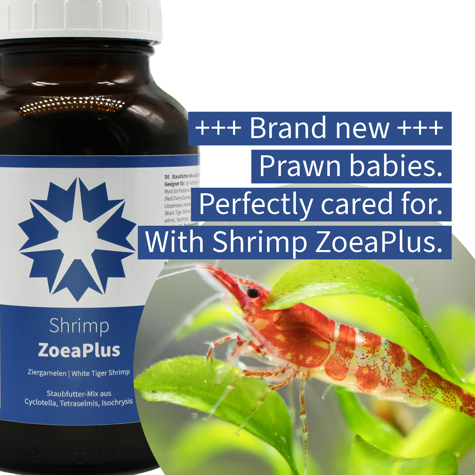 baby shimp food dust food shrimp