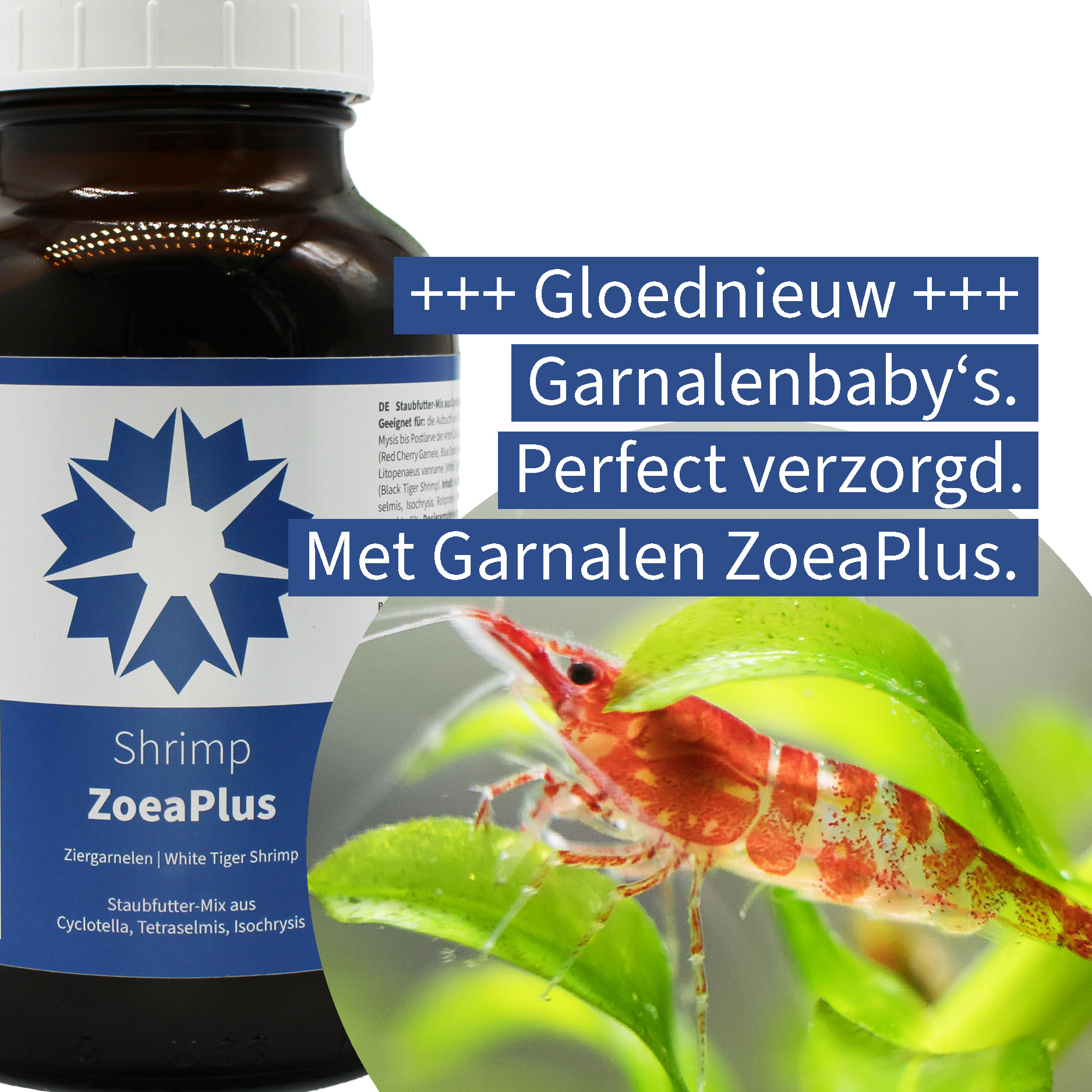 Garnaal ZoeaPlus - gloednieuw in het assortiment