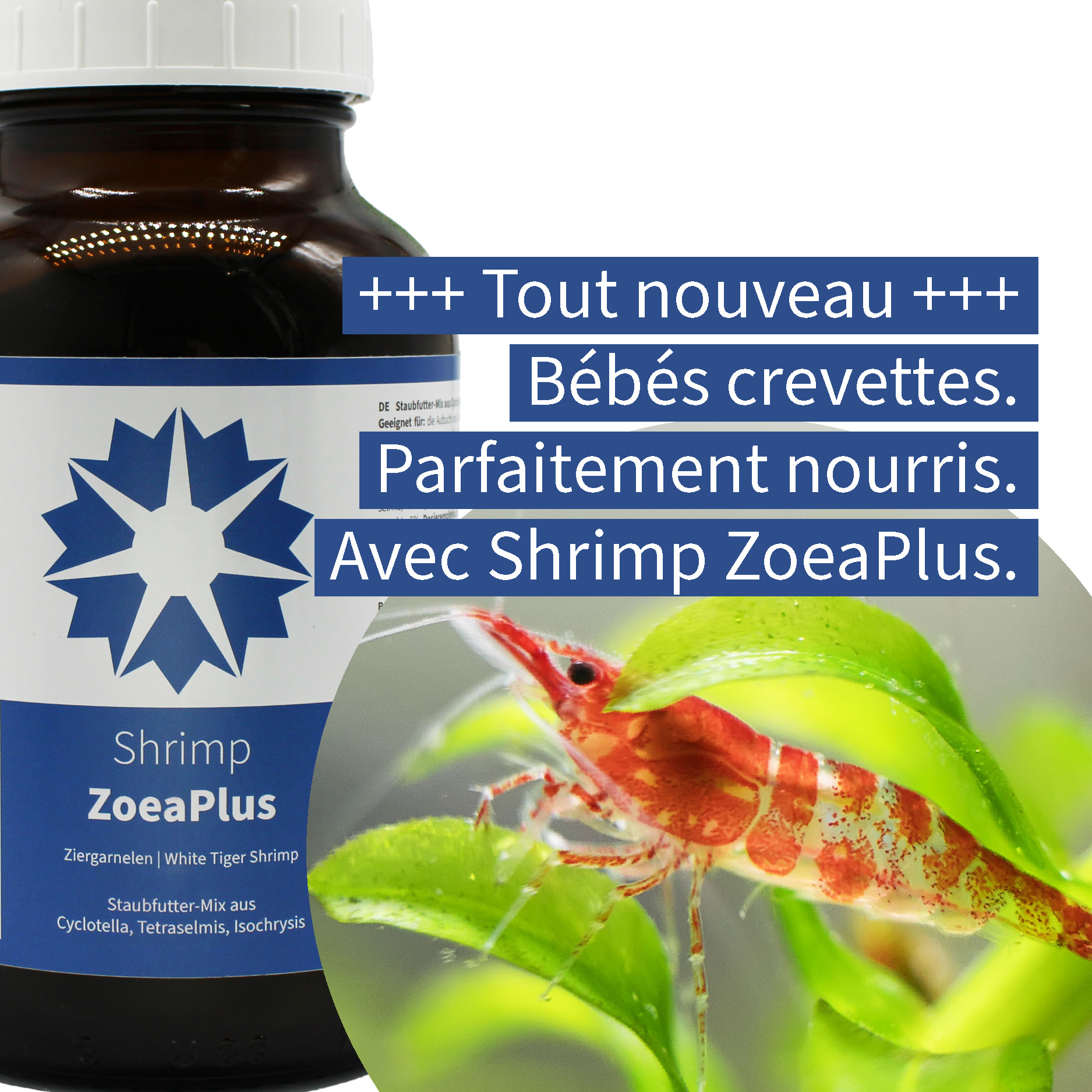 baby shimp nourriture en poudre crevettes